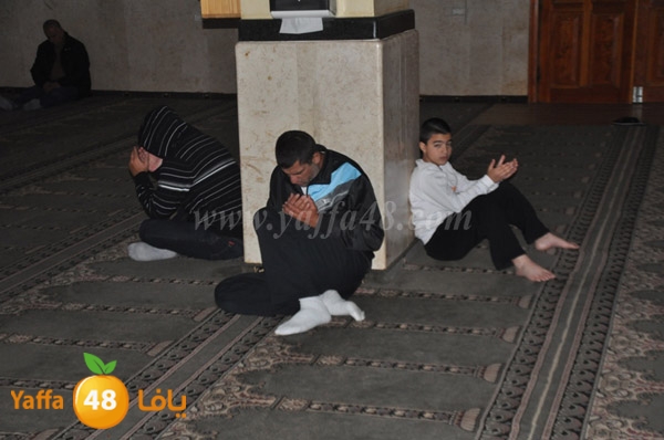 zeker jabaliay (6).JPG